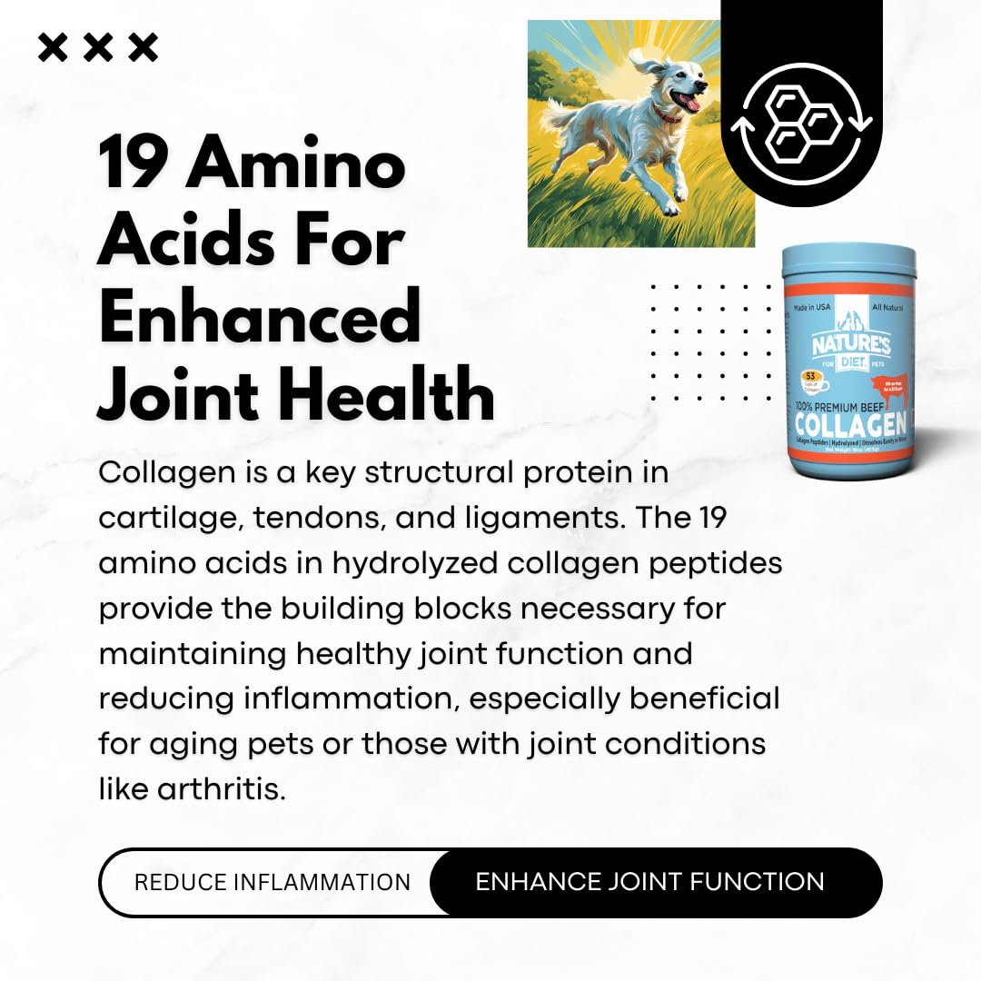 Illustration of joint health benefits for pets