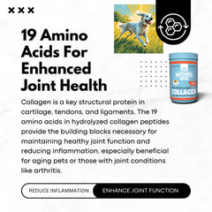 Illustration of joint health benefits for pets