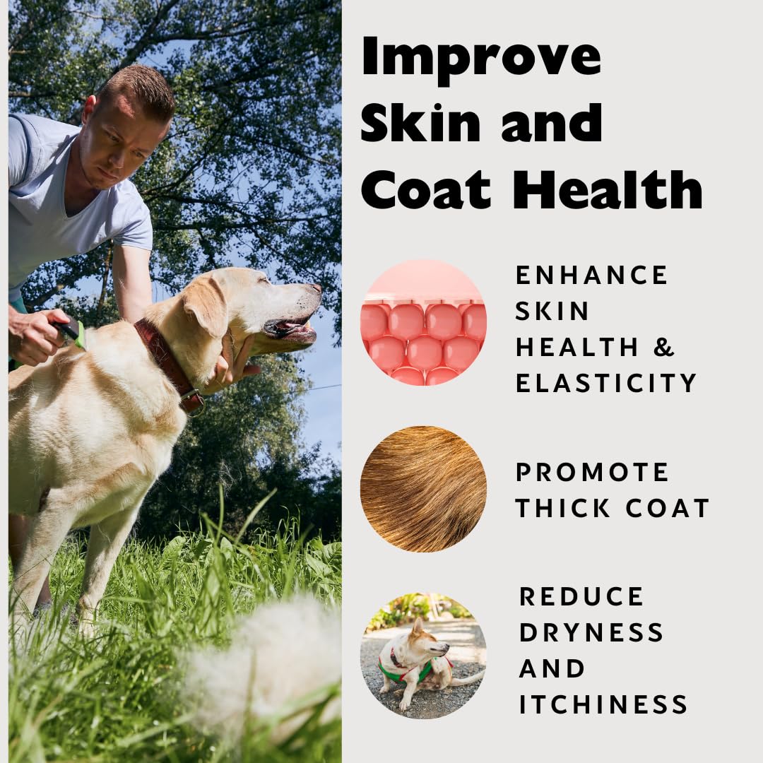 Healthy skin and glossy coat on a dog or cat