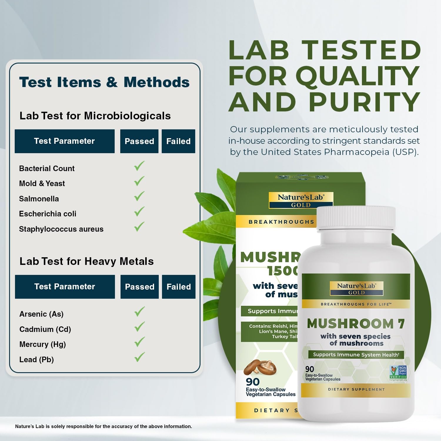 Lion's Mane mushroom (Hericium erinaceus) - Nature's Lab Mushroom 7 Organic Blend
