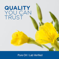 Evening primrose oil 1300 mg softgel capsules