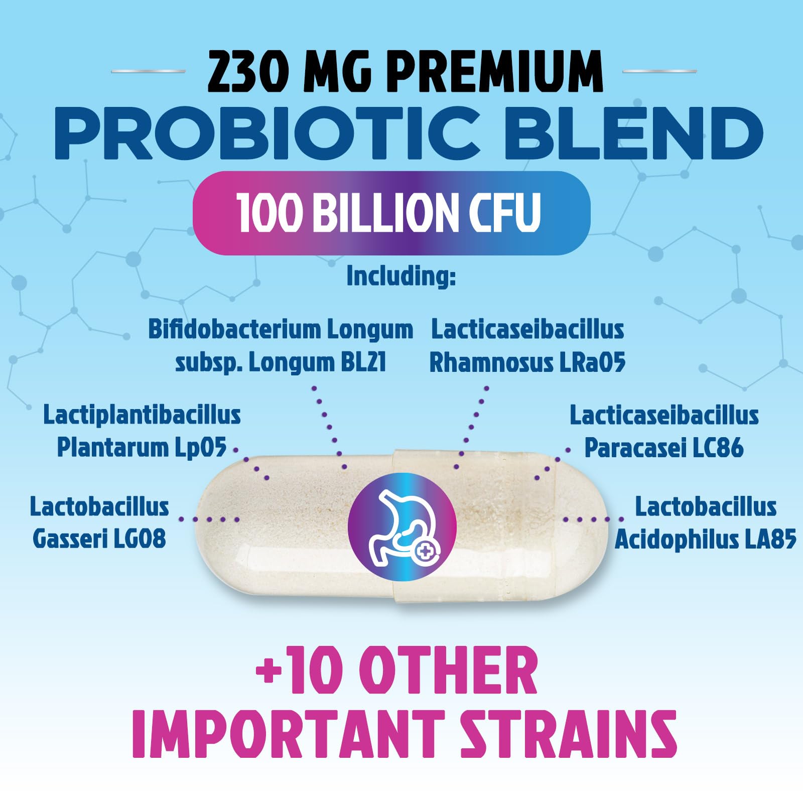 Probiotic formula for women and men with prebiotics