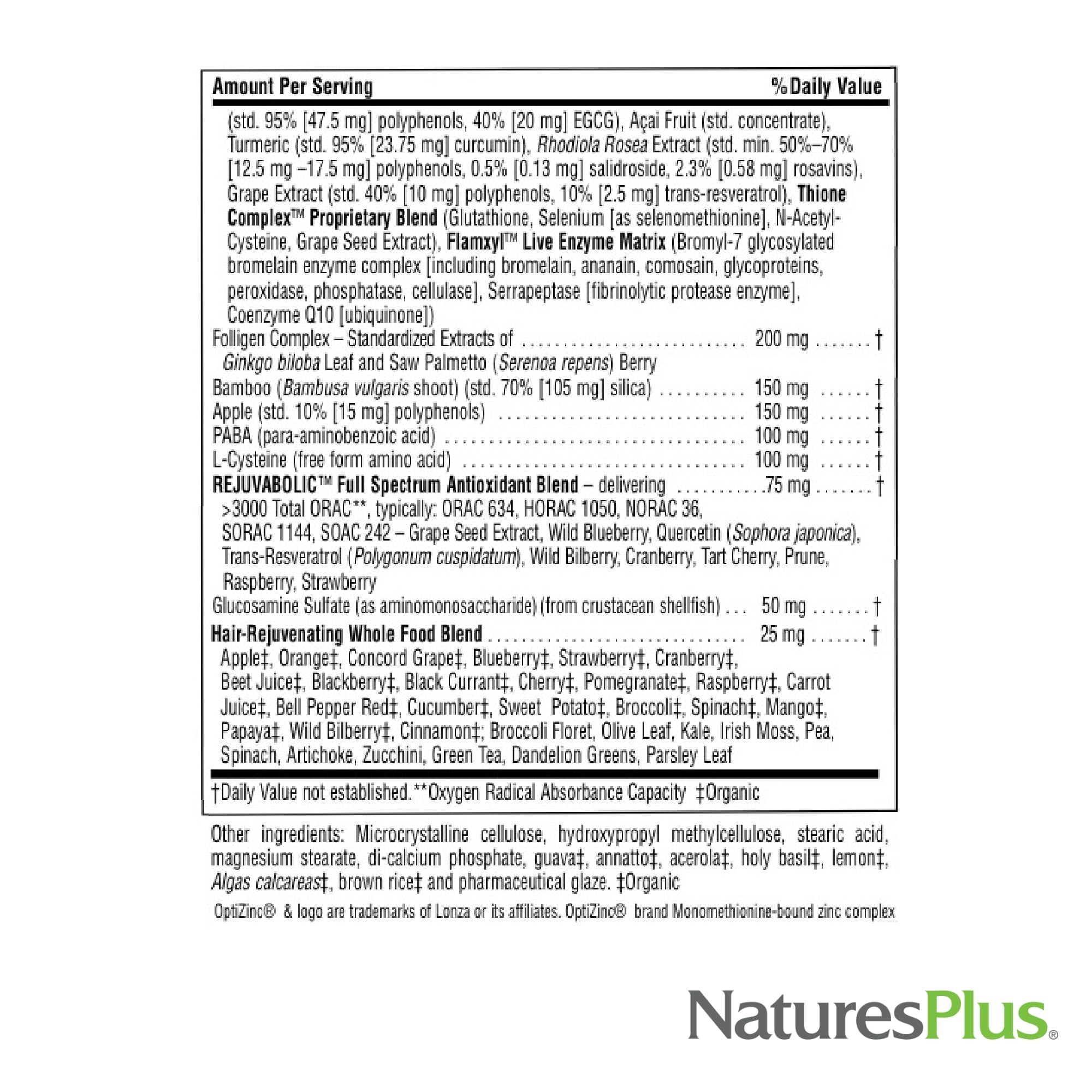 Close-up of tablets from AgeLoss Hair Support bottle