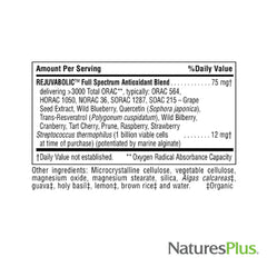 Antioxidant blend ingredients: grape seed, bilberry, blueberry, trans-resveratrol, and quercetin