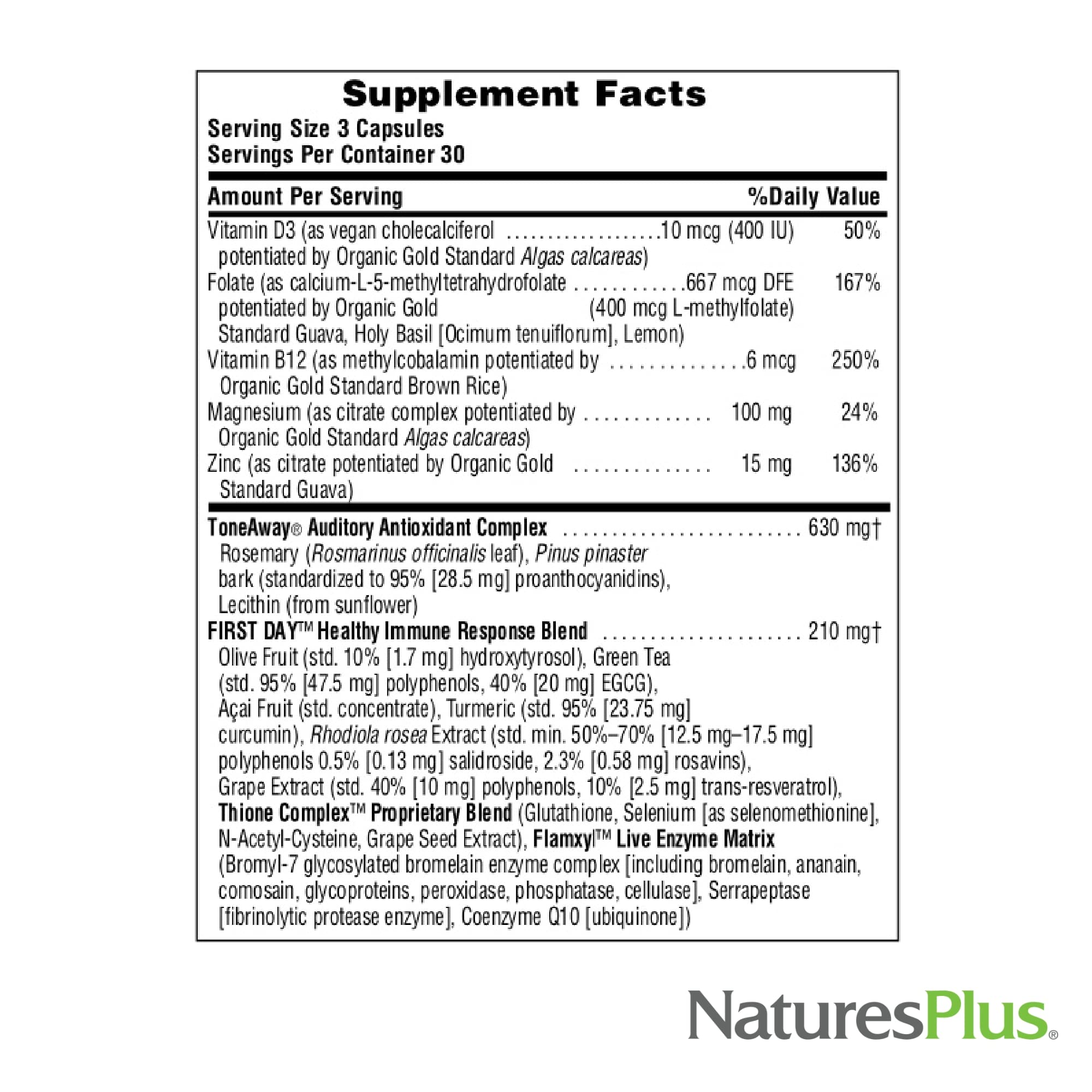 Illustration of ingredients: pine bark extract and rosemary
