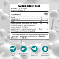 Six types of collagen I-V-X chart