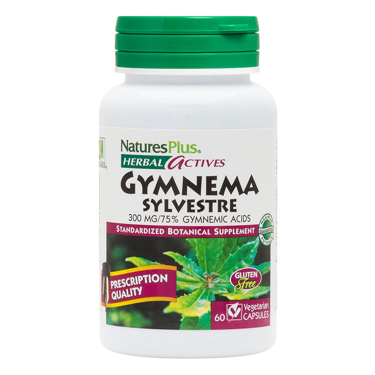 Bottle of Natures Plus Herbal Actives Gymnema Sylvestre 300 mg