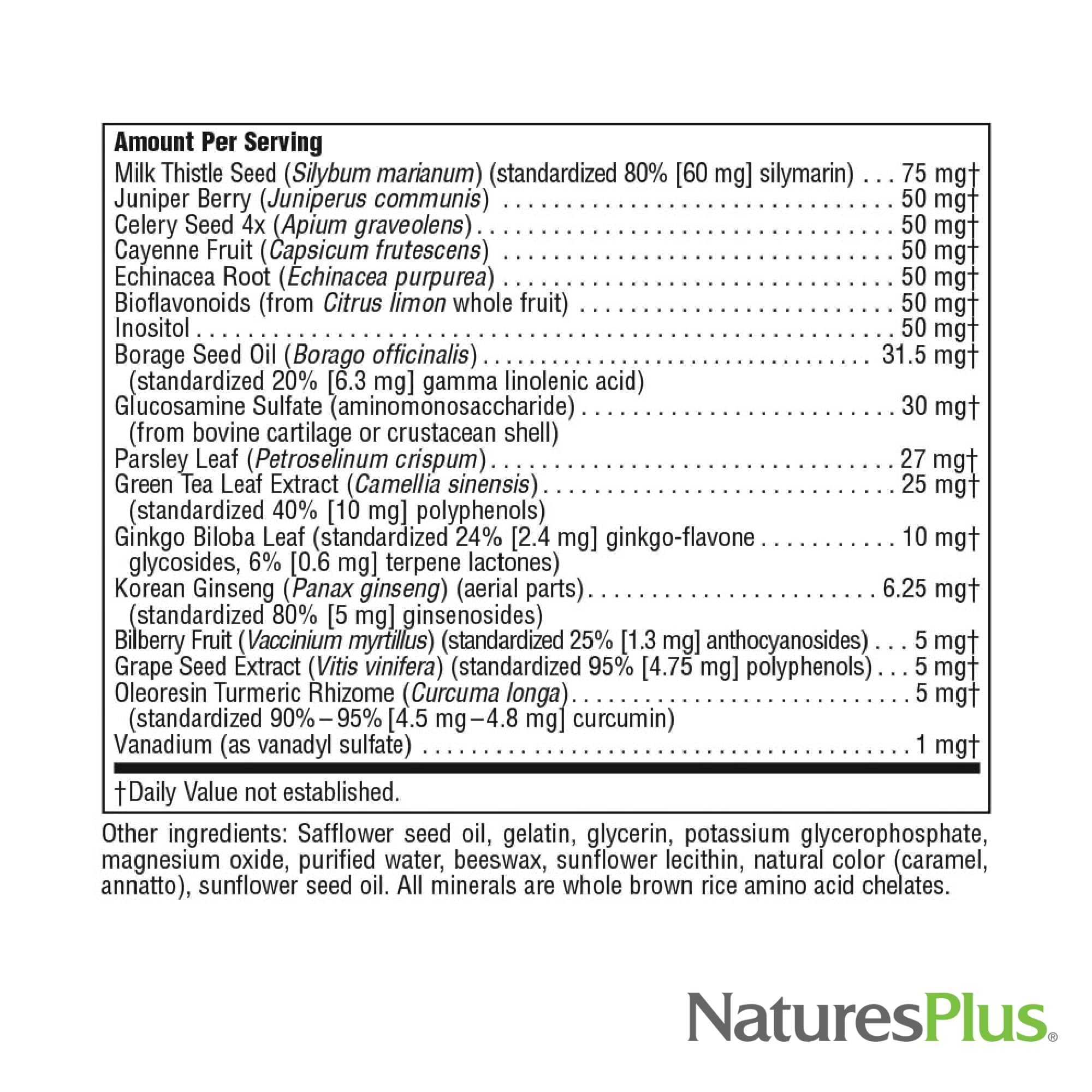 Illustration of vitamins, minerals, and antioxidants