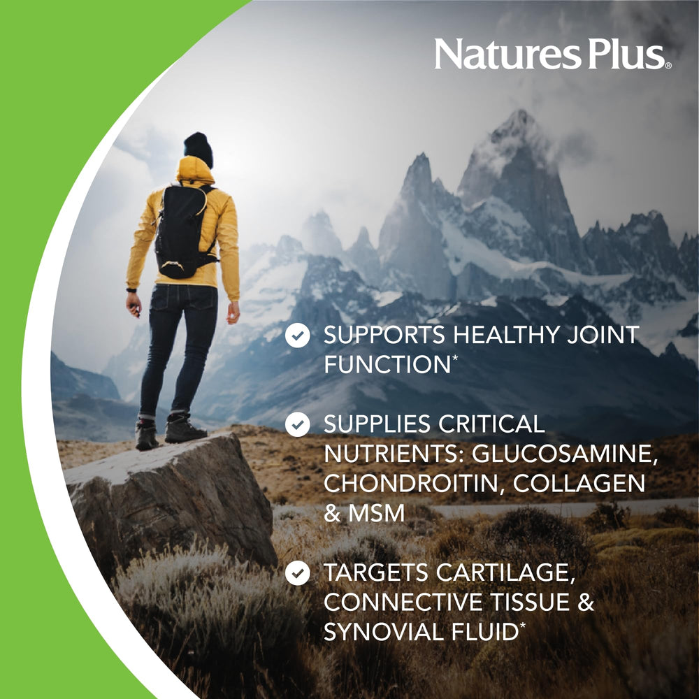 Natures Plus Ultra Rx-Joint Liquid Honey Lemon 30 fl oz | Joint Suppor ...