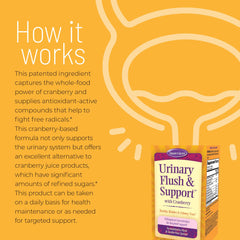 Diagram showing urinary tract health benefits