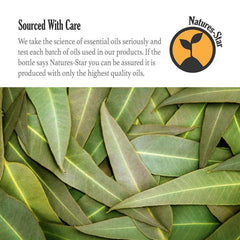 Natures-Star eucalyptus oil for soap making and DIY projects, 16oz