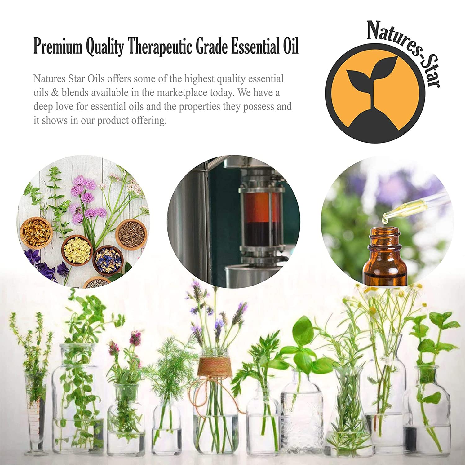 Lavender oil ideal for diffusers and aromatherapy