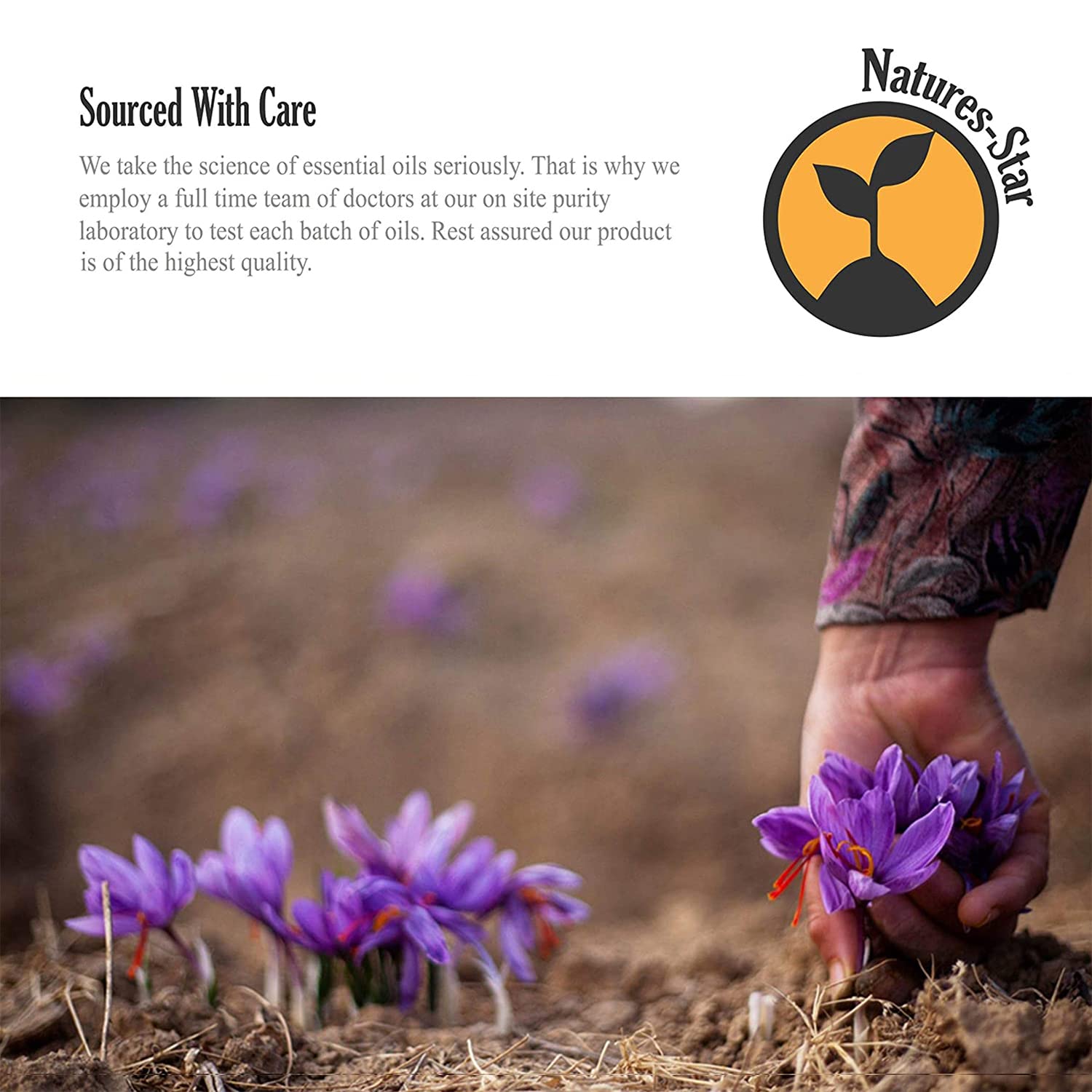 Lavender essential oil for candles and soaps