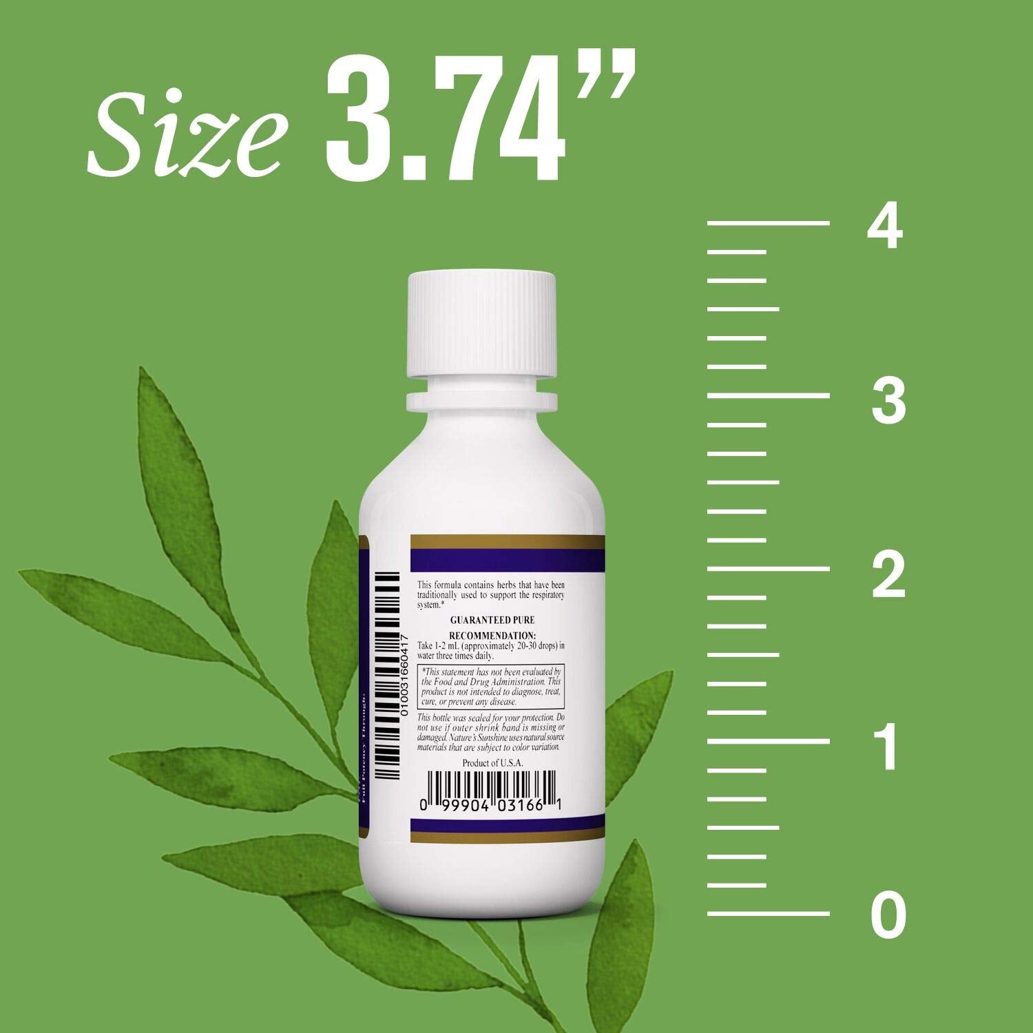 Nature's Sunshine ALJ Boneset herb close-up for respiratory support