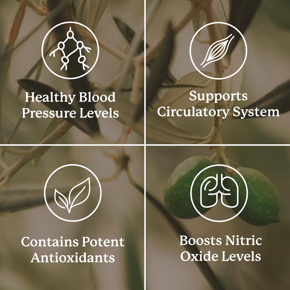 Bottle with ingredients graphic for Blood Pressurex