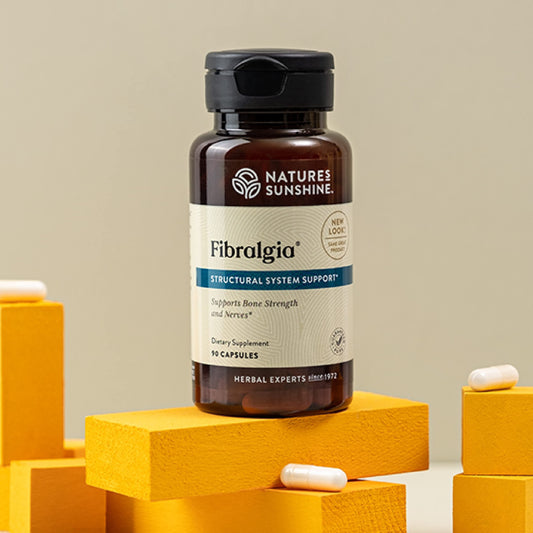 Nature's Sunshine Fibralgia 90 capsules product packshot