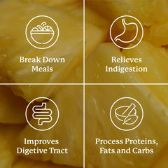 No yeast, gluten, soy or wheat allergen-free icon