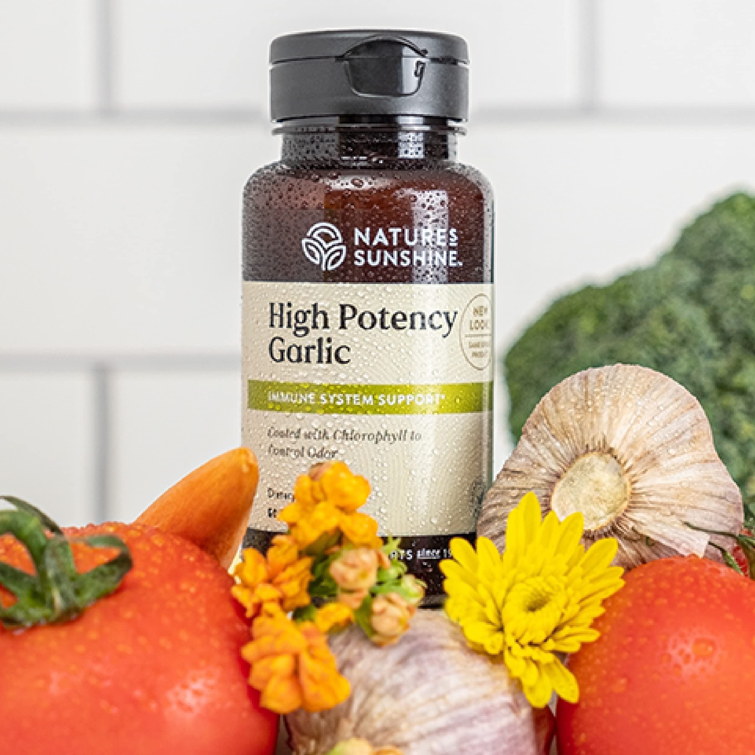 Nature's Sunshine Garlic 60 tablets package