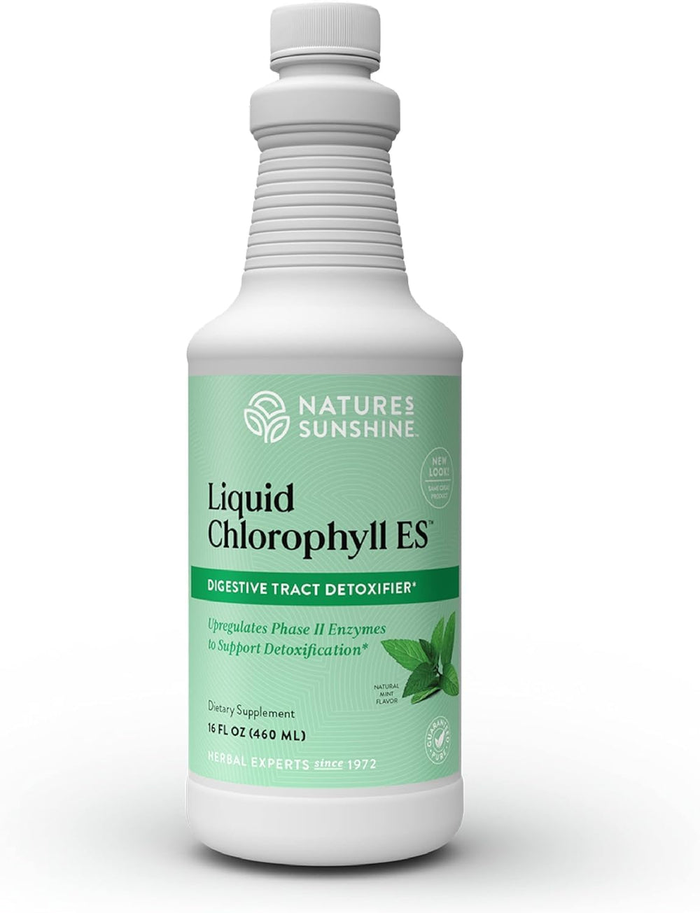 Front view of Nature's Sunshine Liquid Chlorophyll Extra Strength 16 oz bottle