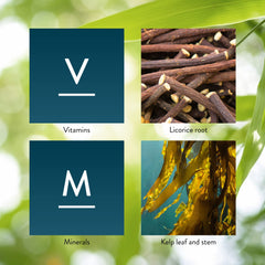 Herbal base components illustrating Nature's Sunshine formula