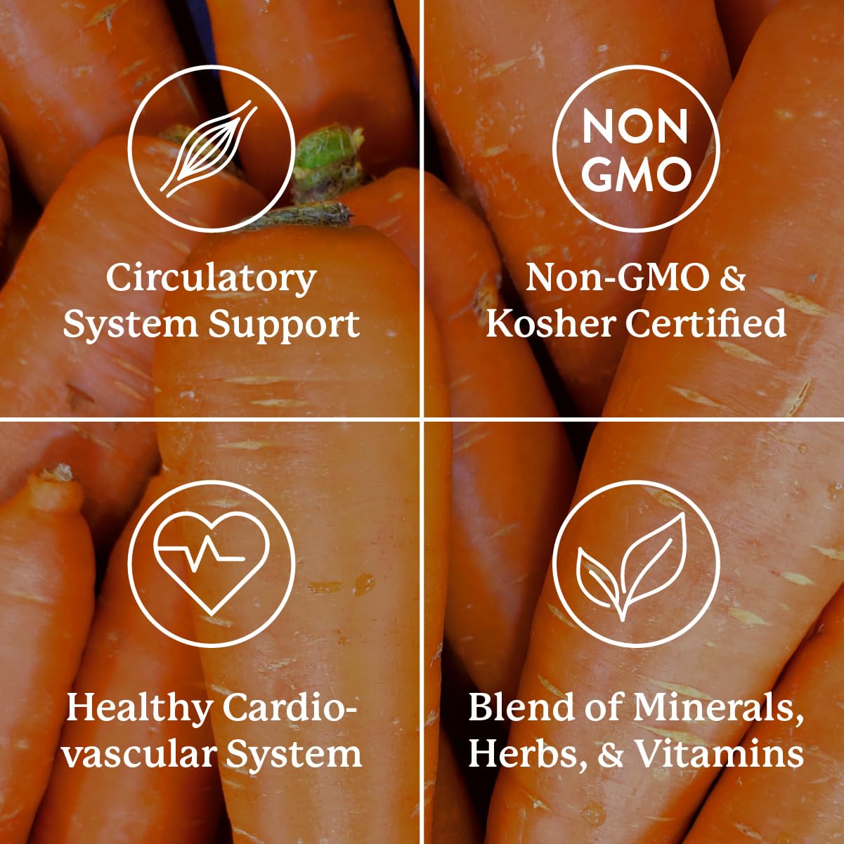 Assorted vitamins and minerals imagery representing Mega-Chel
