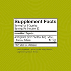 Capsules neatly arranged convey consistent supplementation for ongoing use.