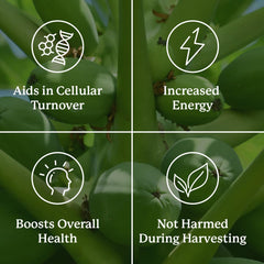 Extraction materials and process imagery emphasize natural origin and quality standards.