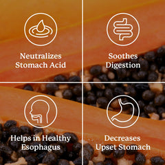 Nature's Sunshine Stomach Comfort papaya imagery hints gentle enzymatic digestion support