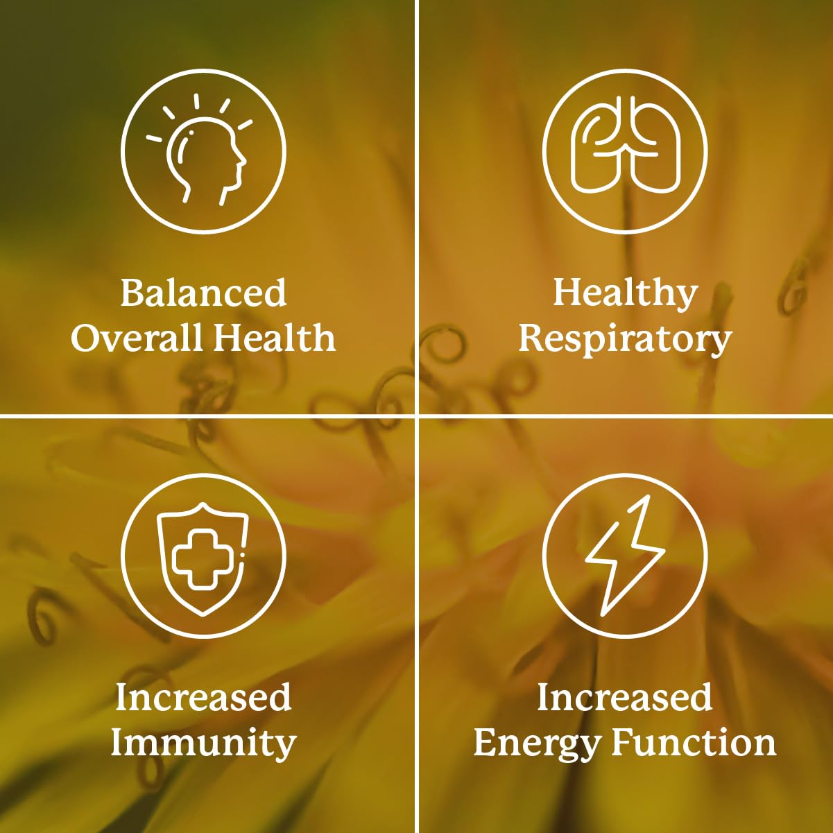Nature's Sunshine VS-C TCM ingredients chart reveals liver-supporting herb blend