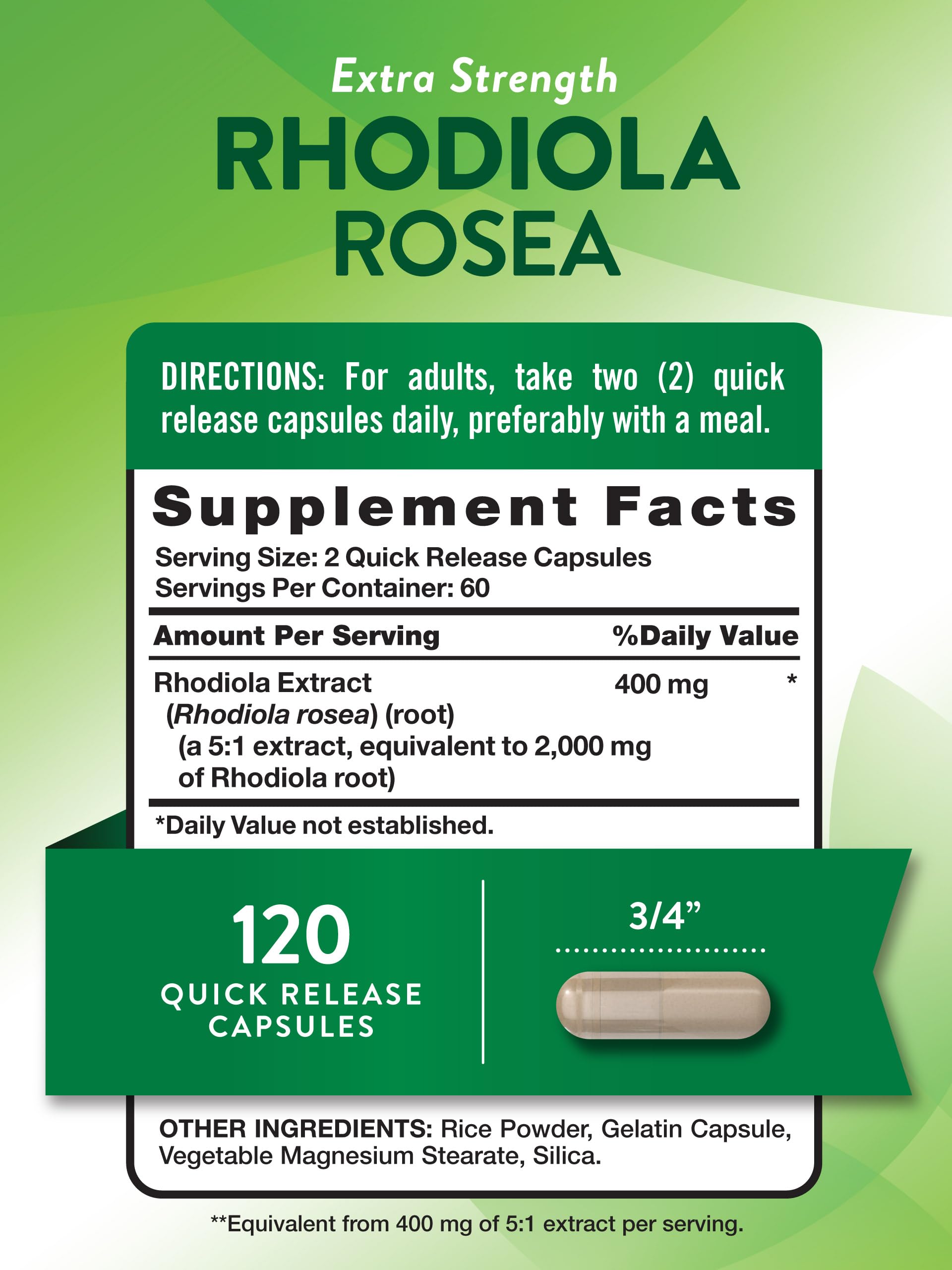 Rhodiola root plant illustration
