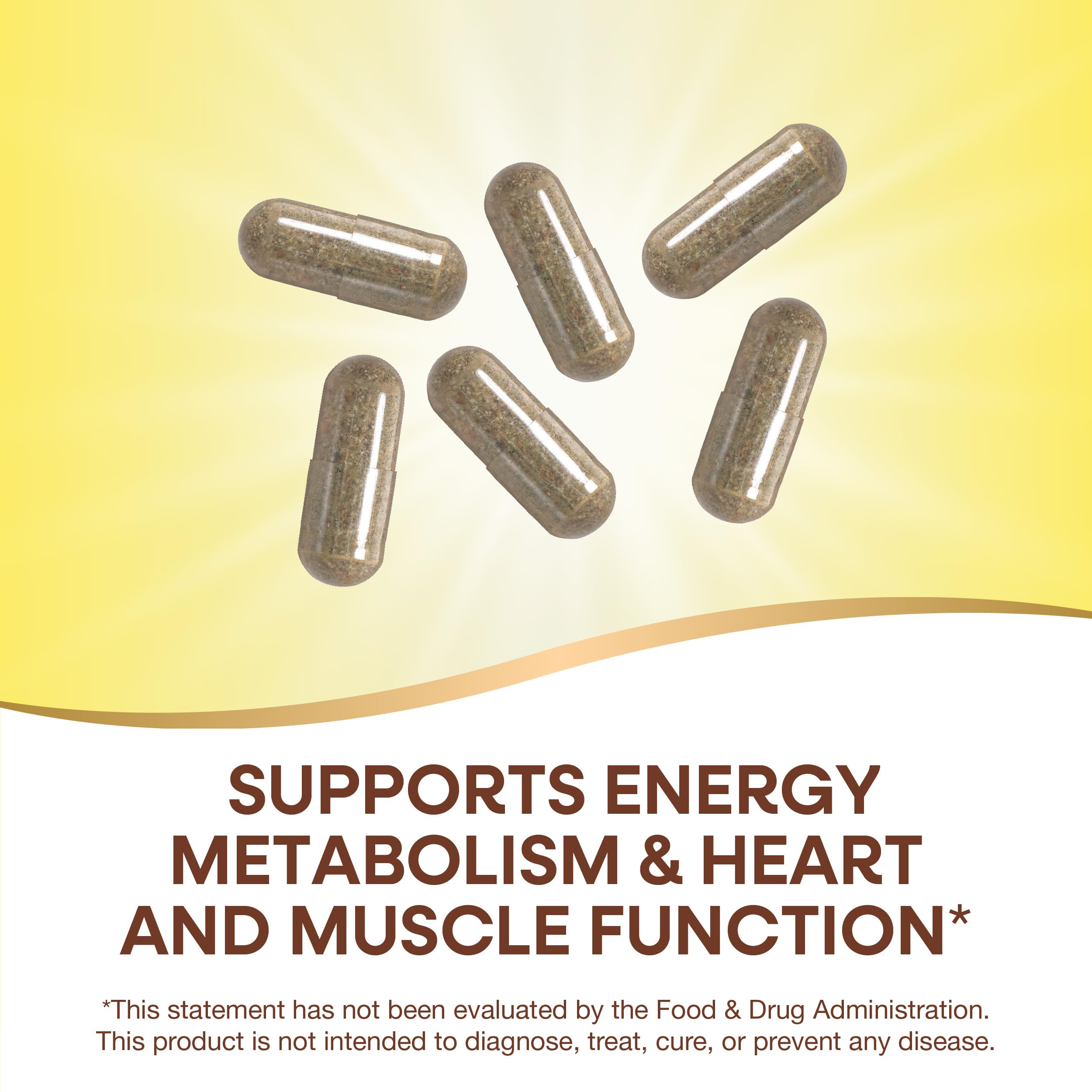 Plant-based blends including Daily Greens, Omega 3/6/9, and Mushroom Defense