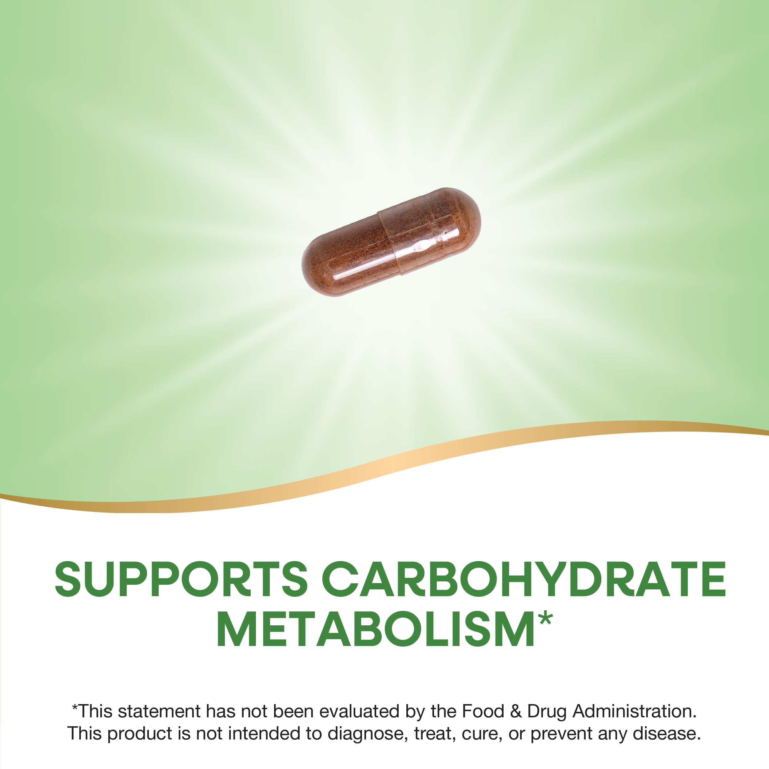 Packaging sleeve for Nature's Way Cinnamon Premium Extract