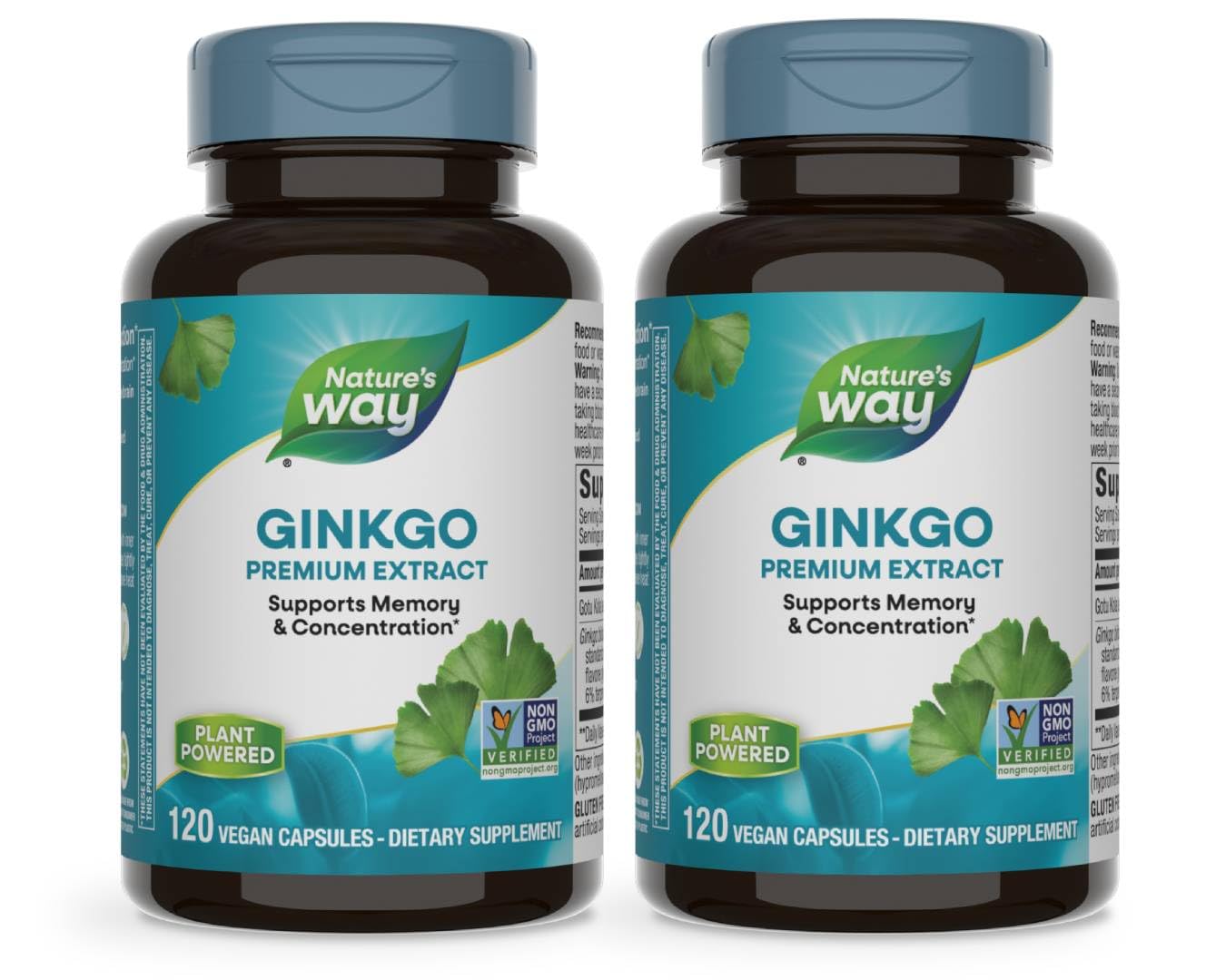 Nature's Way Ginkgo 120 capsules bottle front view