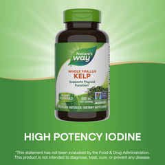 Kelp sustainably sourced from Nova Scotia