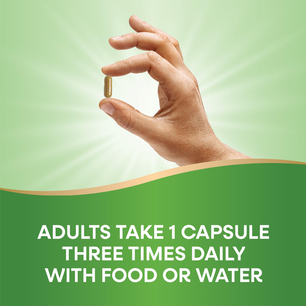 Packaging may vary image for Nature's Way Milk Thistle 2-Pack