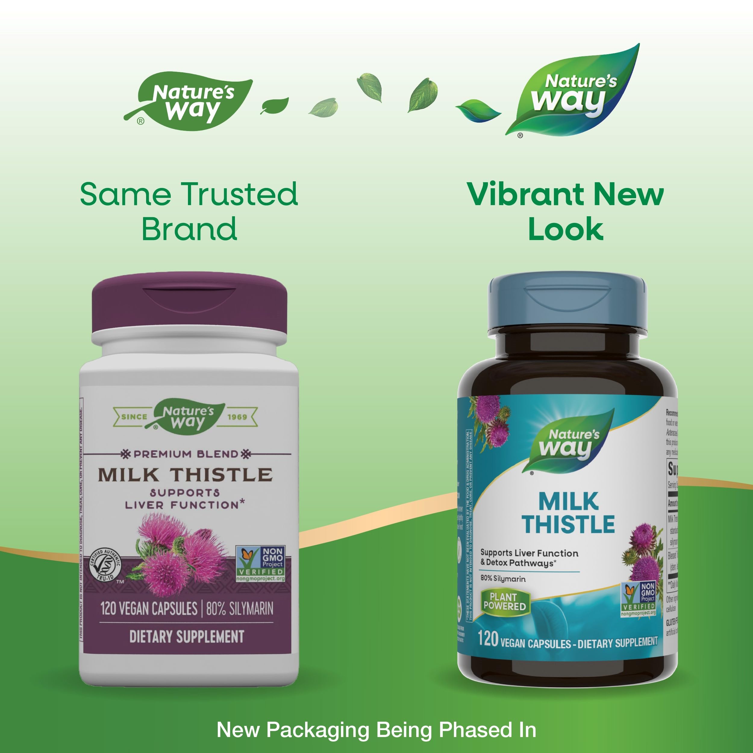 Milk thistle seed extract 80% silymarin graphic