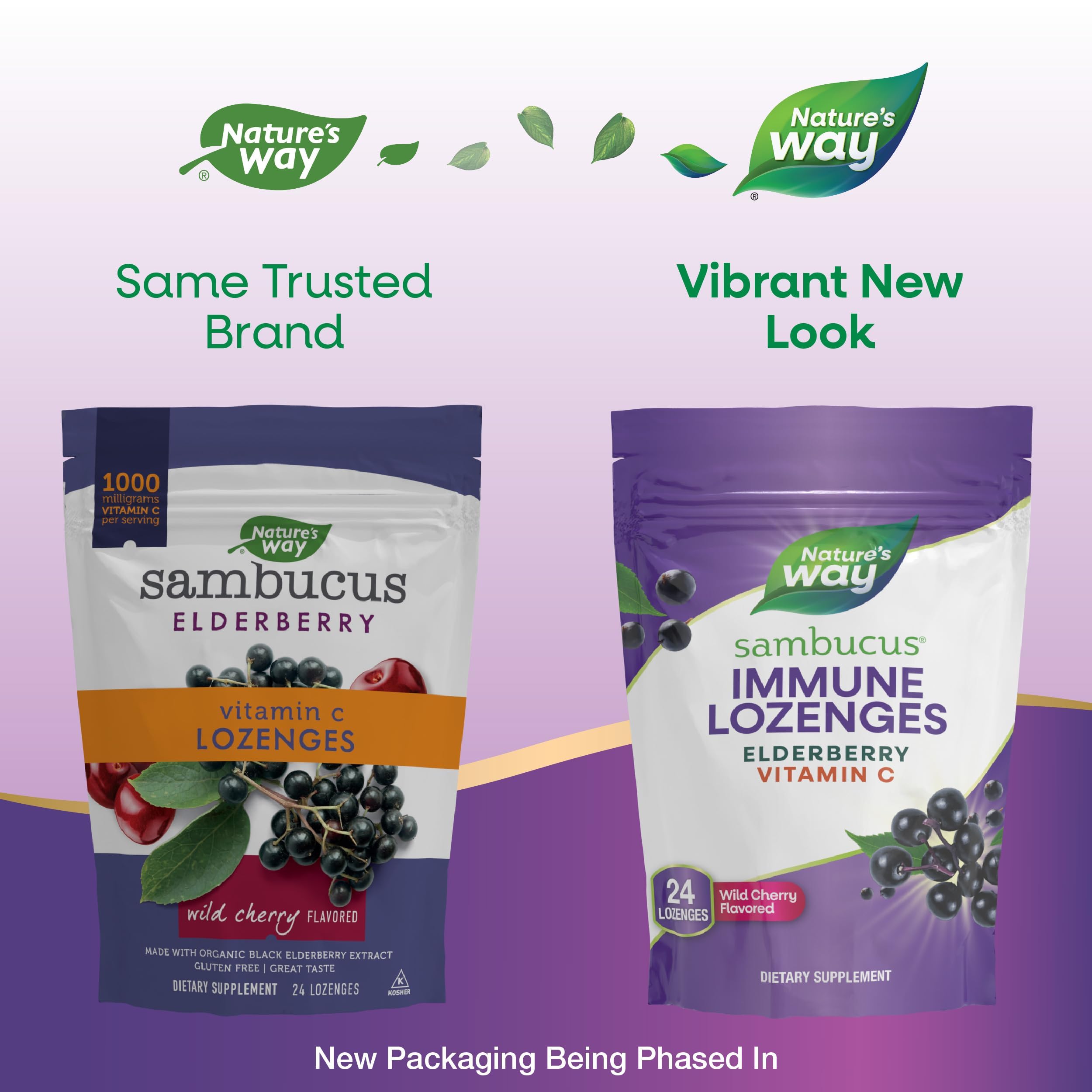 Graphic emphasizing elderberry extract and flavonoid bioactives