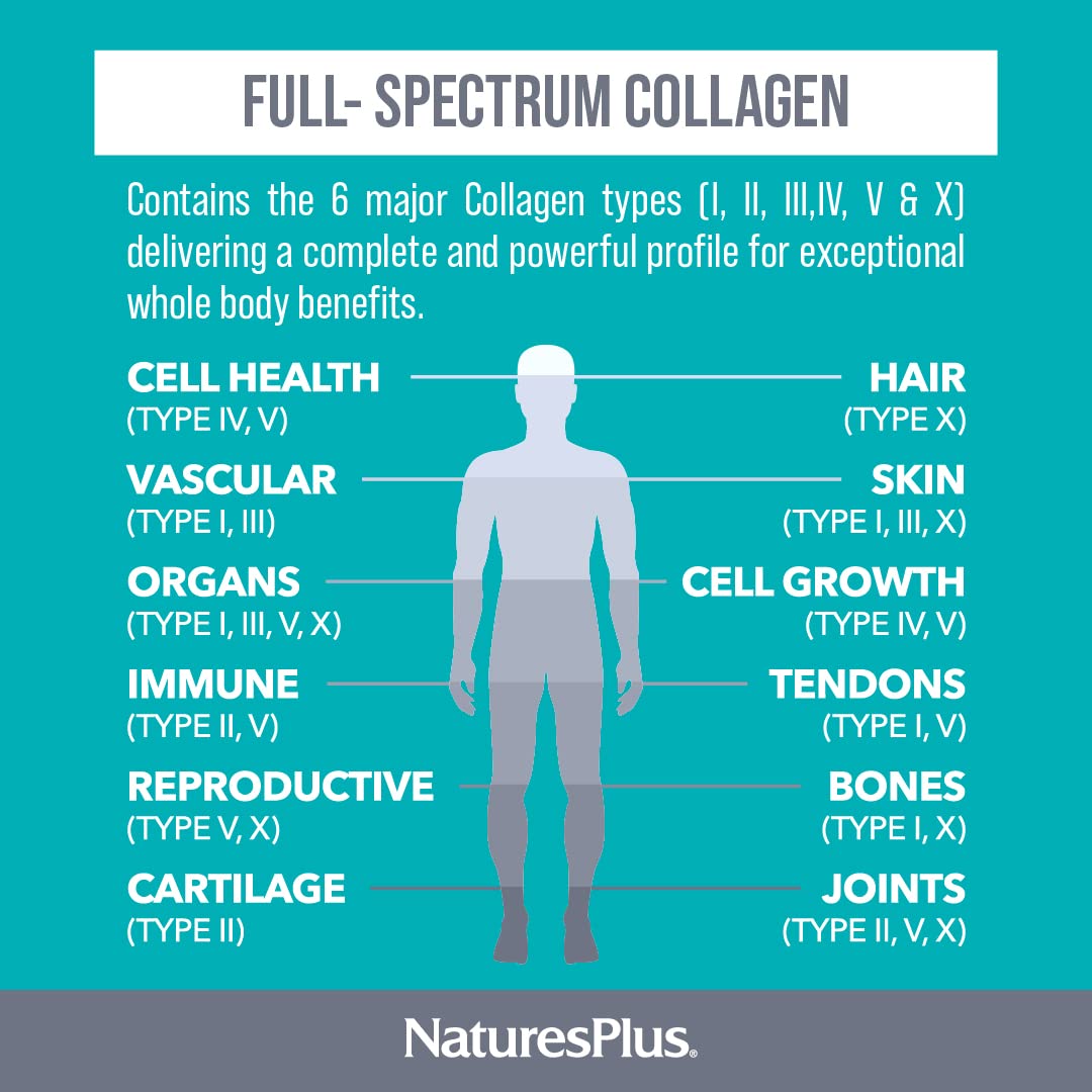 Graphic showing six collagen types I, II, III, IV, V & X