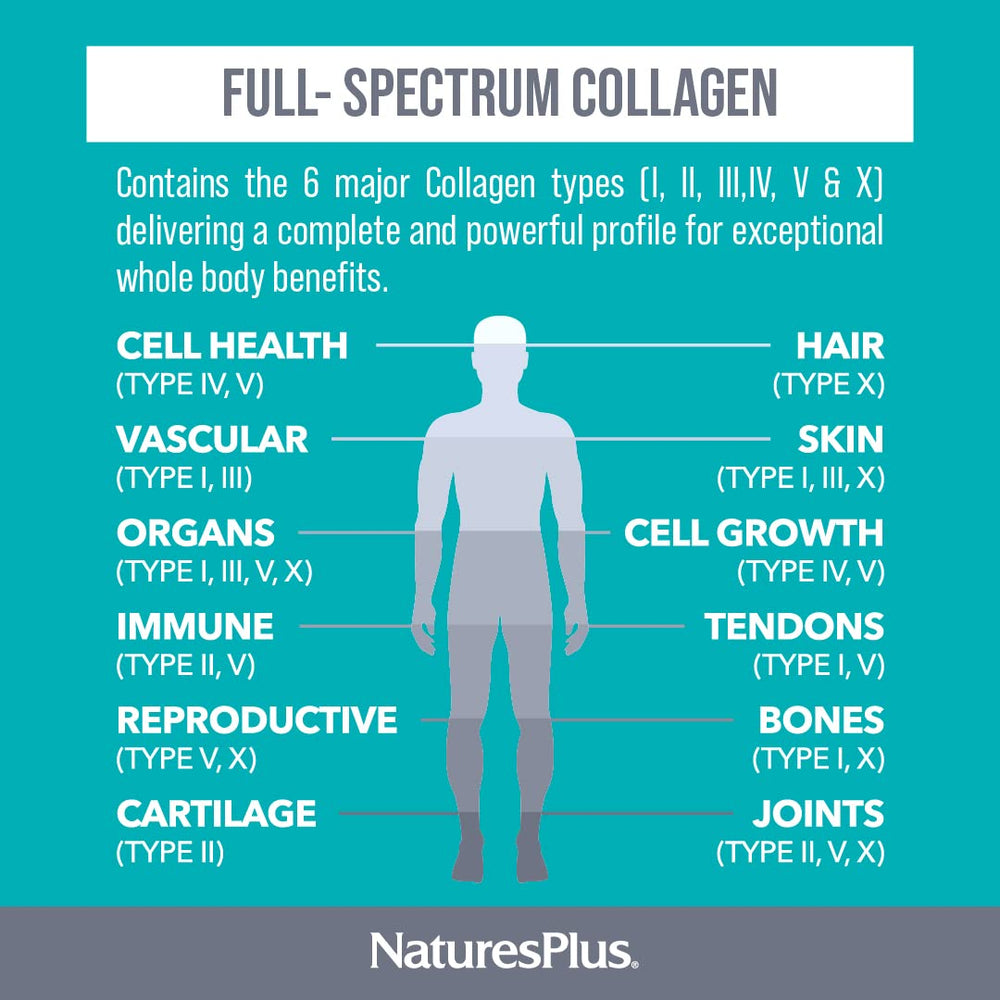 Graphic showing six collagen types I, II, III, IV, V & X
