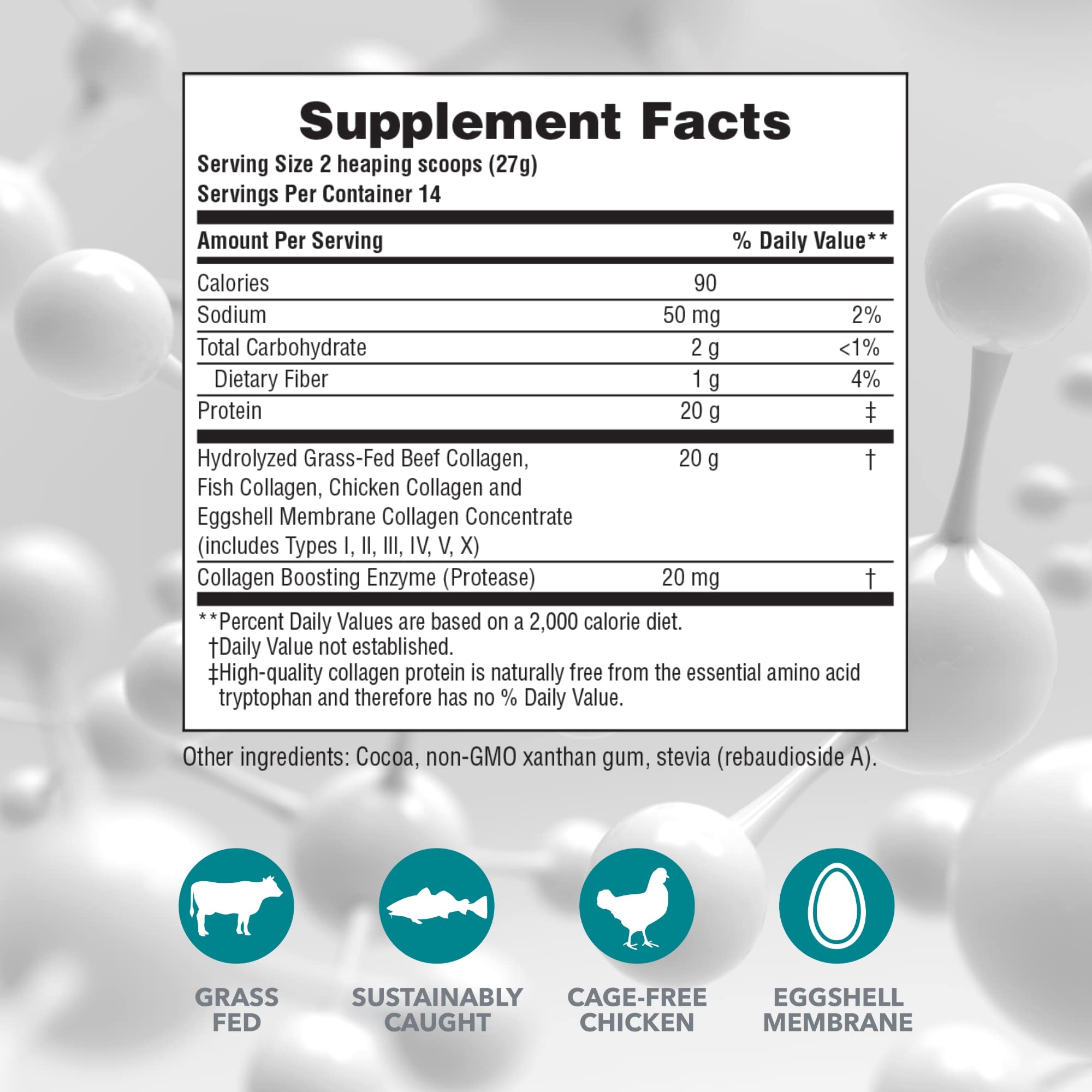 Serving scoop with chocolate collagen powder
