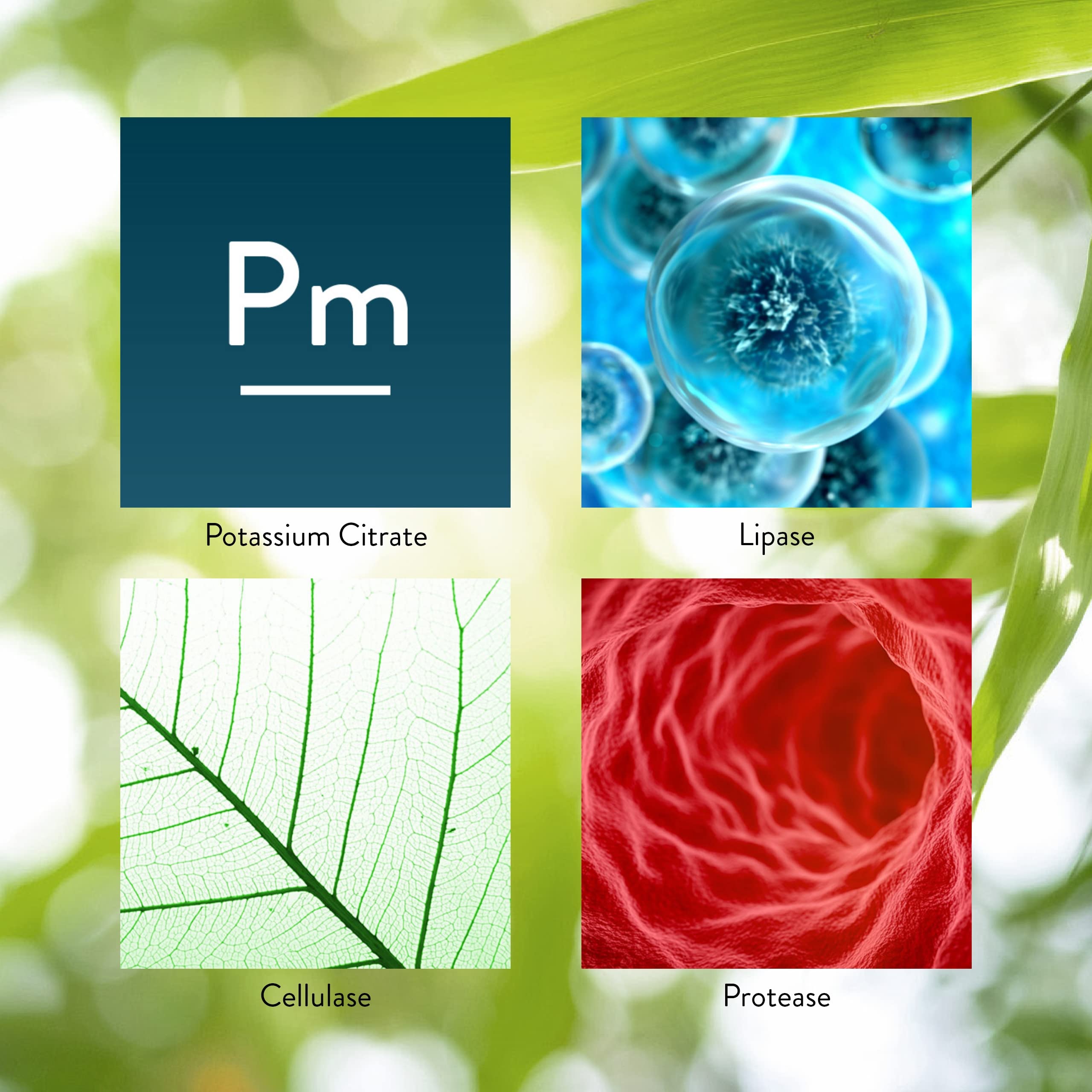 Enzyme supplement packaging close-up