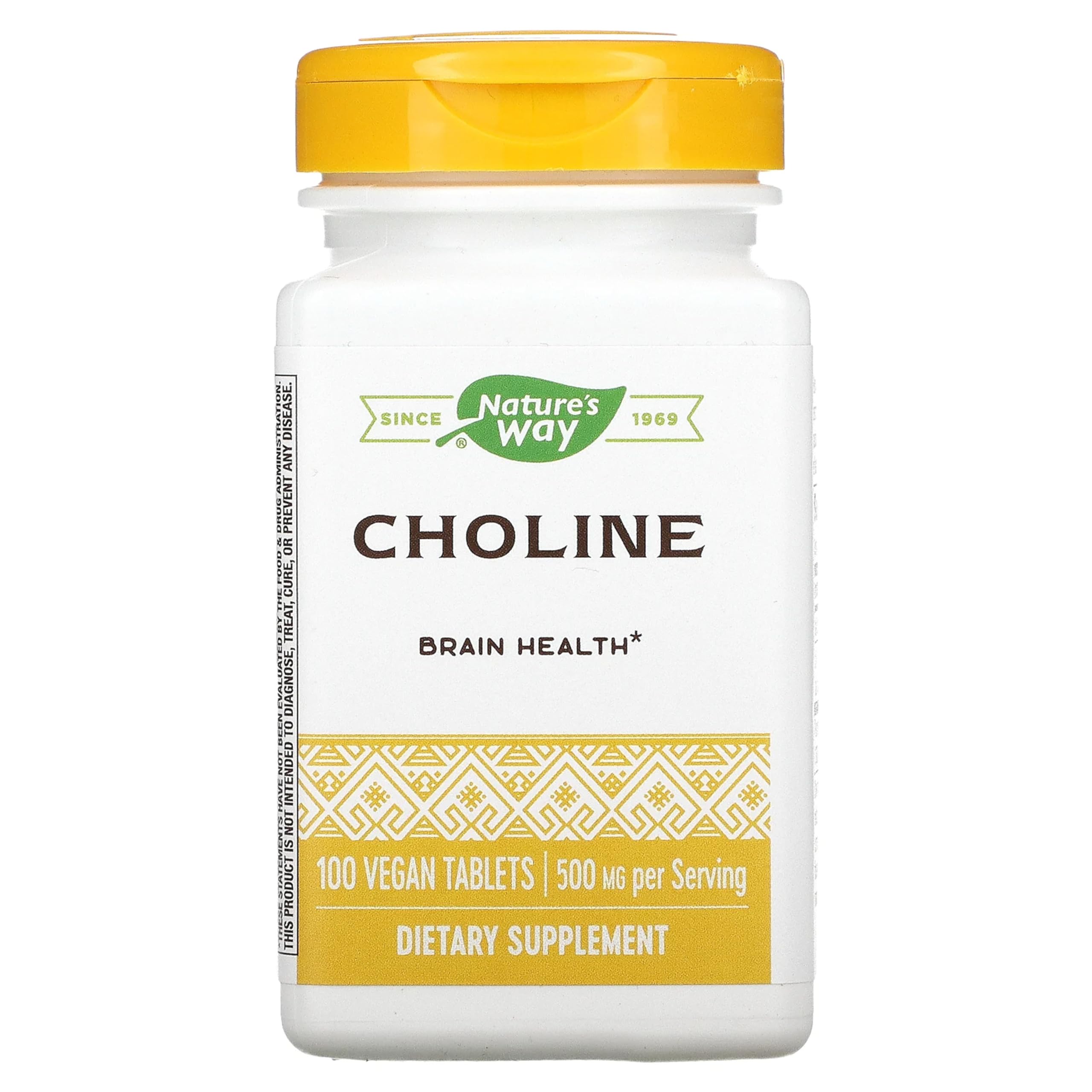 Nature's Way Choline 500 mg bottle – front view