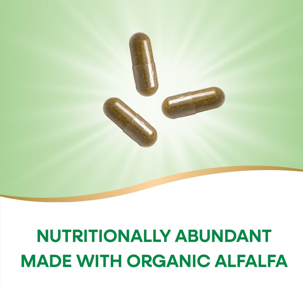 Ingredient panel showing absence of artificial colors, flavors, or preservatives
