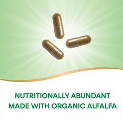 Ingredient panel showing absence of artificial colors, flavors, or preservatives