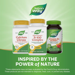 Nature's Way branding with B-100 Complex product shot