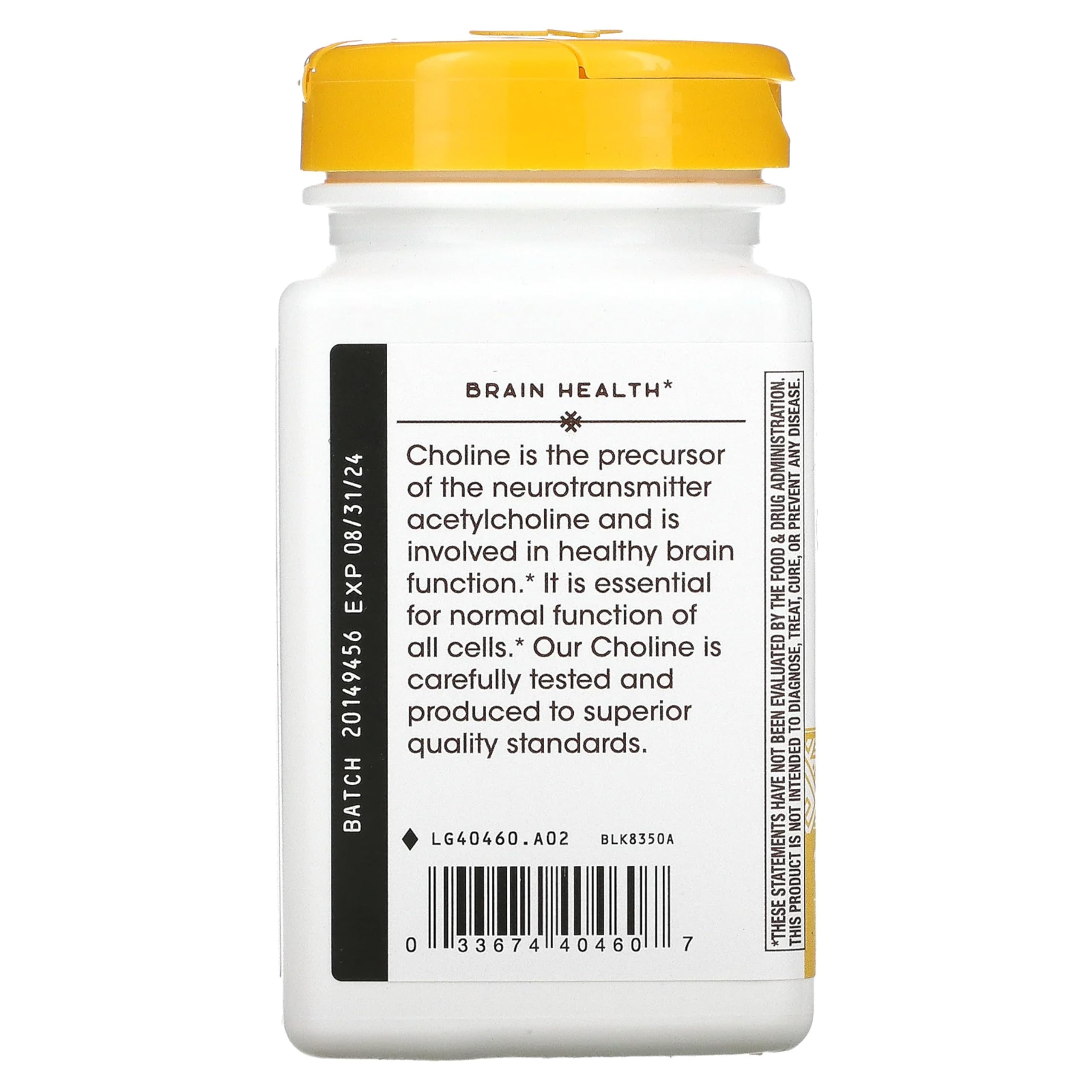 Graphic illustrating choline supports healthy brain function