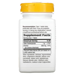 Close-up of Nature's Way Choline tablet (500 mg)