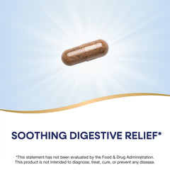 Side view of Nature's Way DGL Ultra bottle with 90 vegan capsules