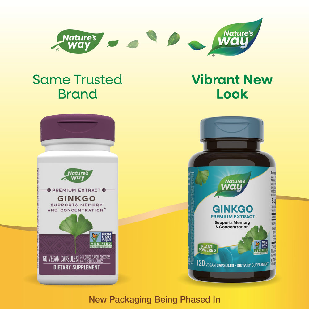 Close-up of Ginkgo extract standardization: 24% flavone glycosides and 6% terpene lactones