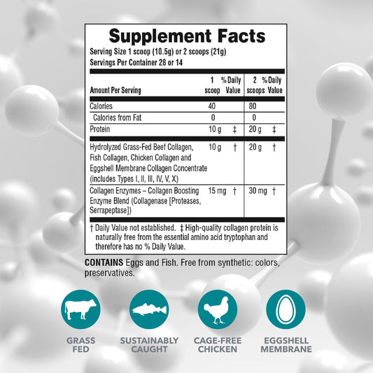 Close-up of collagen peptides powder in scoop